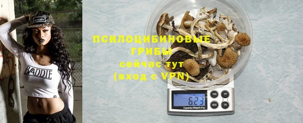 СК Навашино