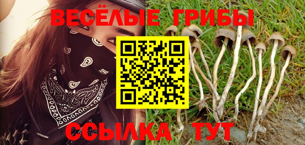 Галлюциногенные грибы Magic Shrooms Архангельск